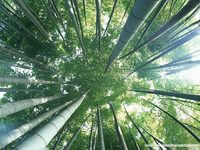 Syarat Agar Amalan Diterima