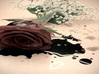 Kiat Agar Tidak Terjerumus dalam Kelamnya Zina (2)