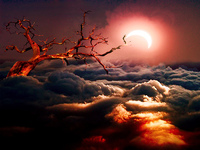 kewajiban puasa Ramadhan