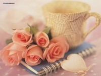 Adab Sederhana Ketika Makan