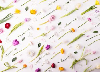 Apakah Puasa Batal Bila Melihat Aurat Wanita?