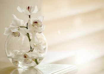 meminang_pinangan_saudara_muslim_remajaislam