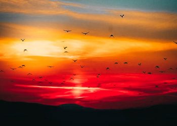 4 Keistimewaan Shalat Sunnah Fajar