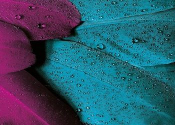 Hadits ini adalah hadits motivasi pada para jomblo agar segera menikah apalagi saat mampu.