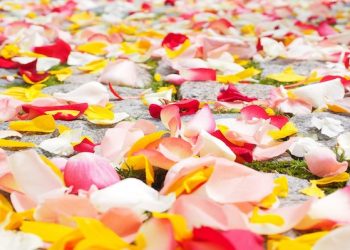 wanita telat menikah