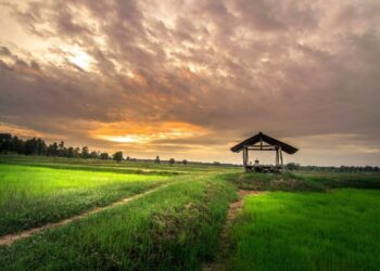 Pengangguran? No, Ayo Bekerja_RemajaIslam.Com