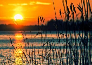 Empat Kaidah Memahami Syirik Part 1_RemajaIslam.com