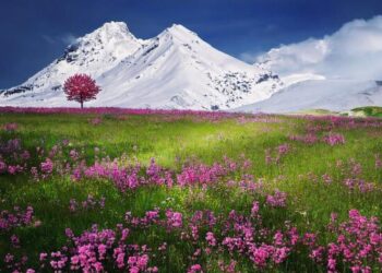 Benarkah Nabi Isa (Yesus) Tidak Menikah? RemajaIslam.com