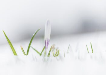 Urip Iku Urup = Hidup Itu Menerangi_RemajaIslam.com