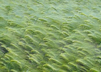 Enggan Nahi Mungkar Karena Kesesatan Orang Tak Akan Membahayakan Iman?RemajaIslam.com