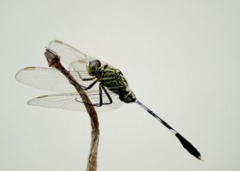 11 Dosa yang Sering Dilakukan Anak Muda