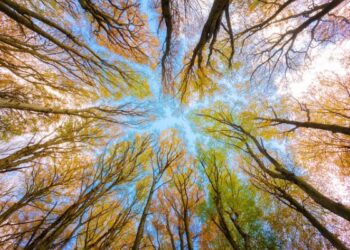 Inspirasi dari siroh Nabi #2