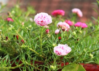 Selesai dengan Diri Sebelum Menjemput Pujaan Hati_remajaislam.com