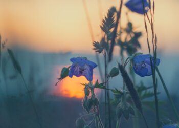 Membaca Doa Dzikir dari Ayat Quran Saat Sedang Junub, Bolehkah?Remajaislam.com