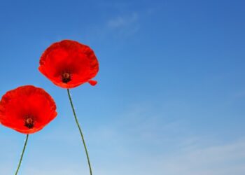 Makna Ba'ah dalam hadis tentang motivasi menikah_remajaislam.com