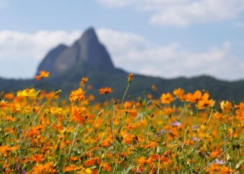 sebab bahagia_remajaislam
