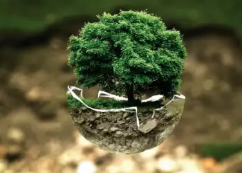 Renungan untuk Anak Muda