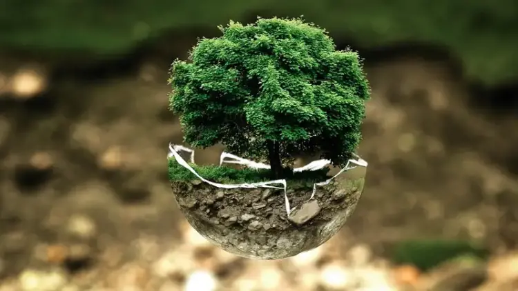 Renungan untuk Anak Muda