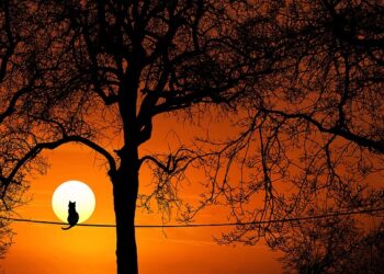 Rendah hati_remajaislam