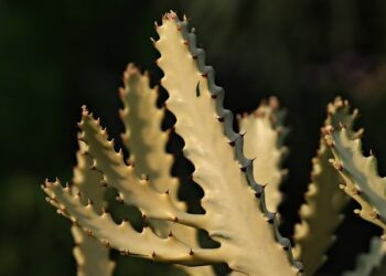 Menolak kebenaran_remajaislam