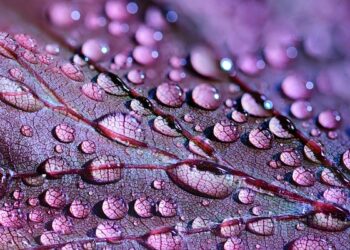 Air madzi_remajaislam