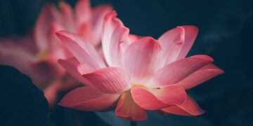 flower_remajaislam.com