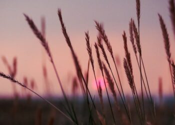 summer_remajaislam.com