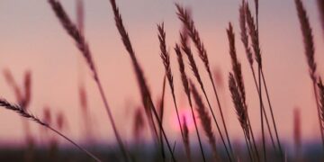 summer_remajaislam.com