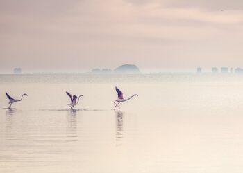 waterscape_remajaislam.com